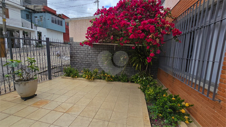 Foto REO1126828
