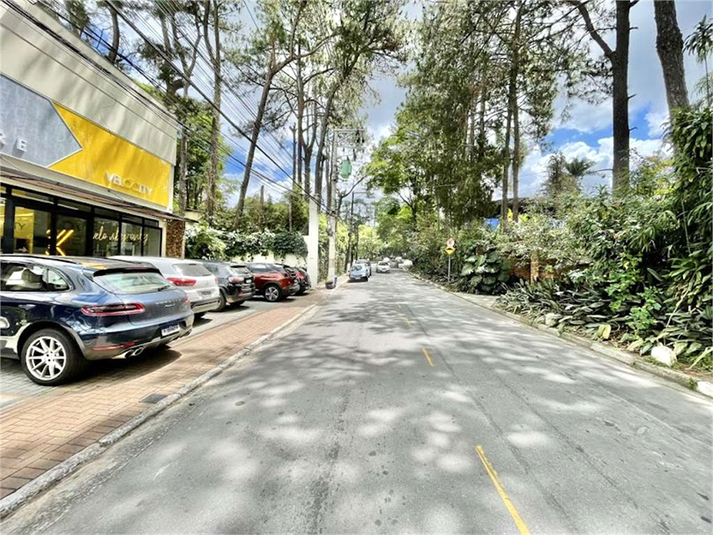 Foto REO1126834