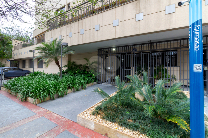 Foto REO1126846