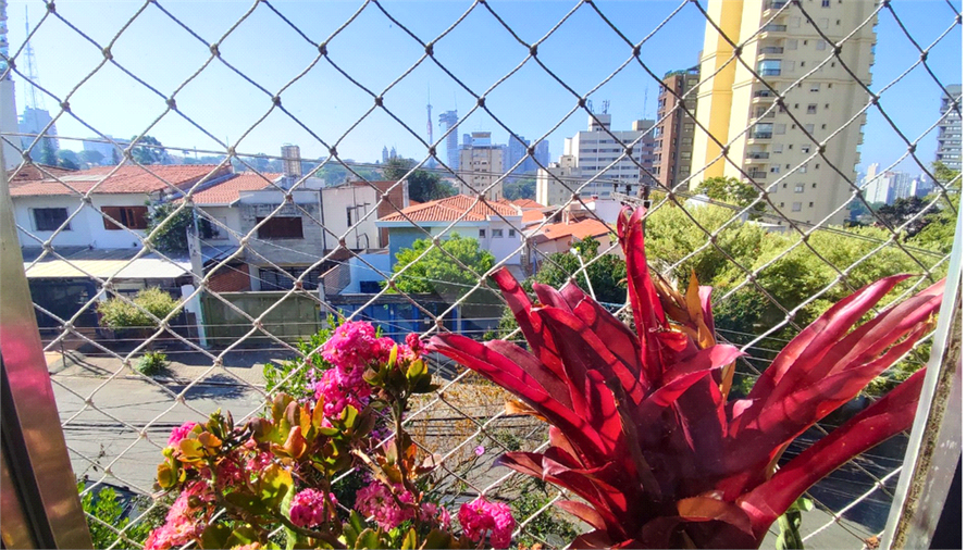 Foto REO1126847