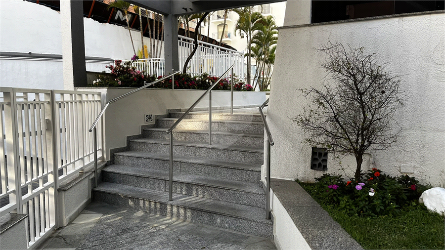 Foto REO1126849
