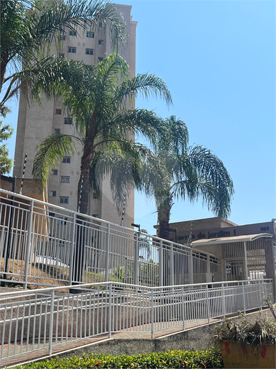 Foto REO1126853