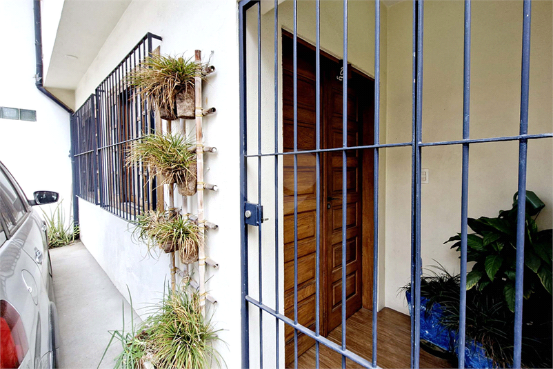 Foto REO1126854