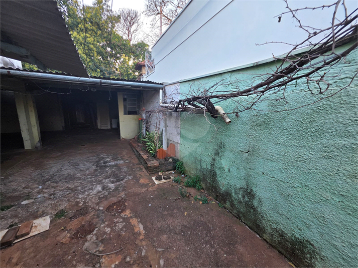 Foto REO1126860