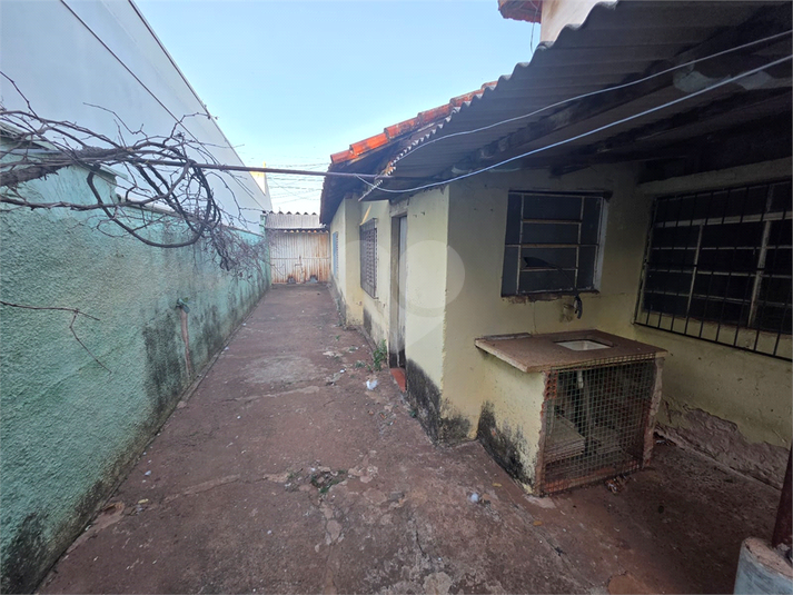 Foto REO1126860