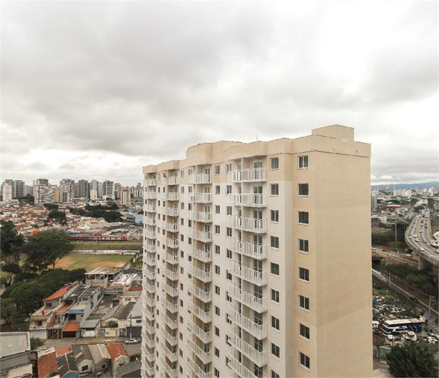 Foto REO1126864
