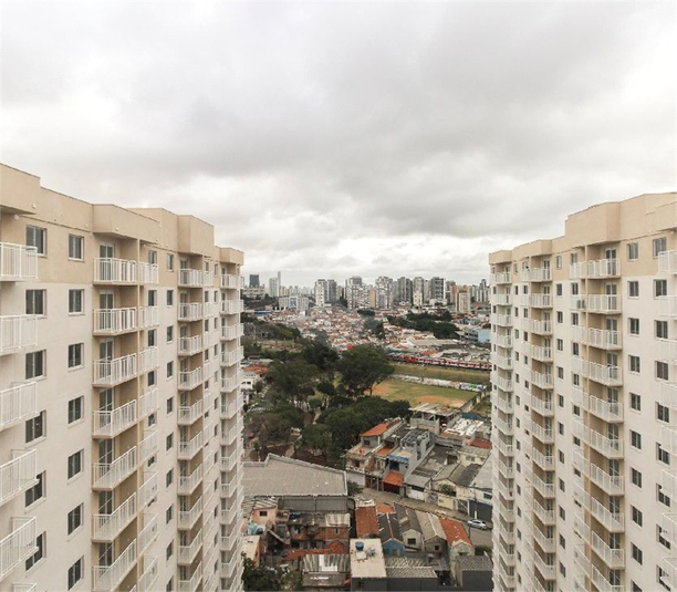 Foto REO1126864