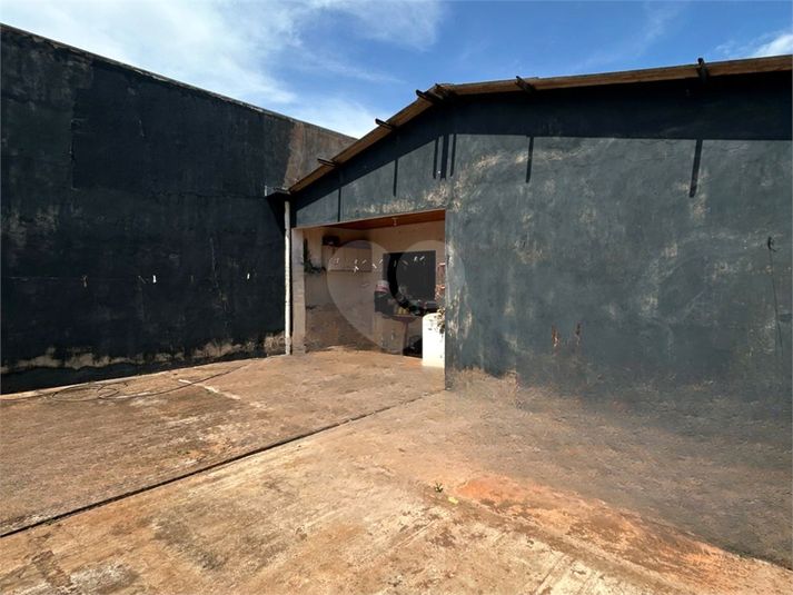 Foto REO1126866