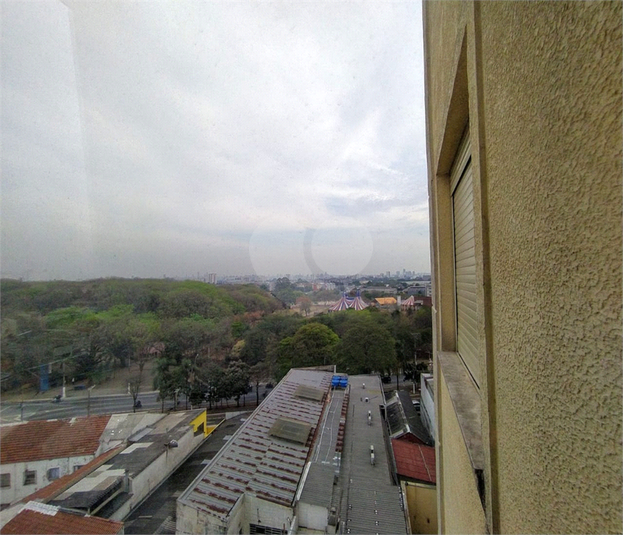 Foto REO1126869