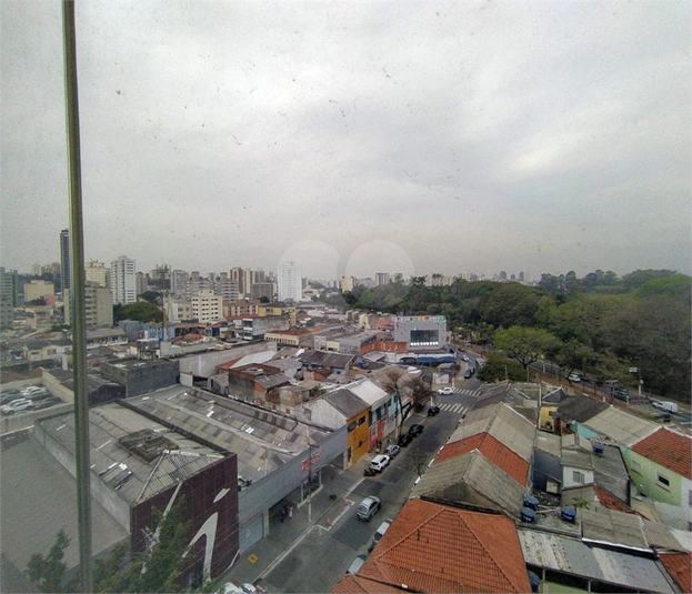 Foto REO1126869