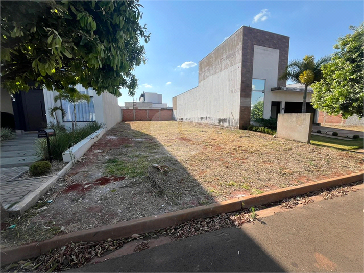 Foto REO1126870