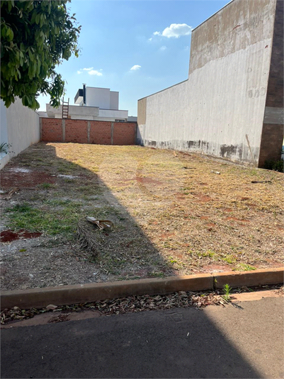Foto REO1126870