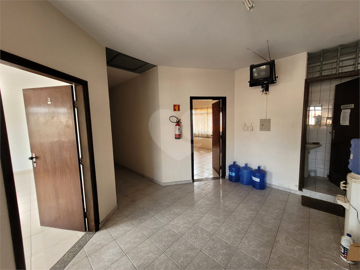 Foto REO1126886
