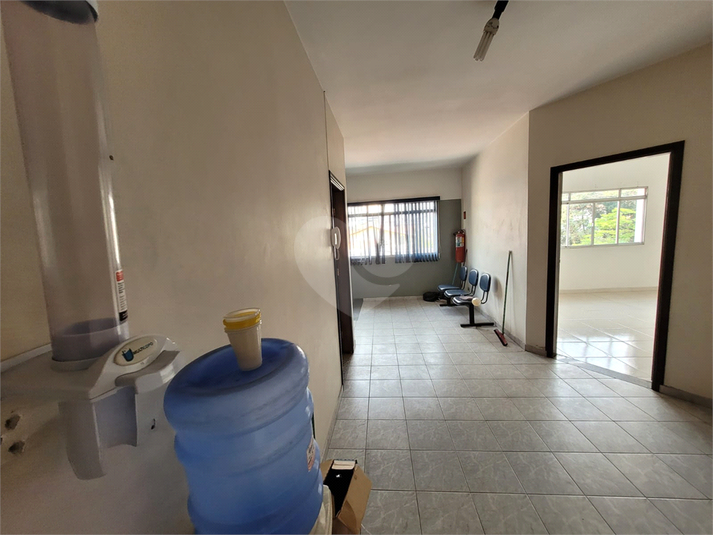 Foto REO1126886