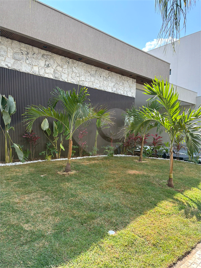 Foto REO1126910