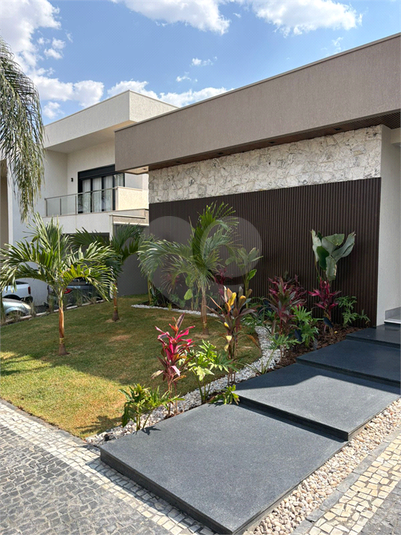 Foto REO1126910