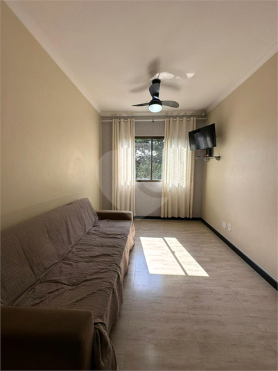 Foto REO1126930