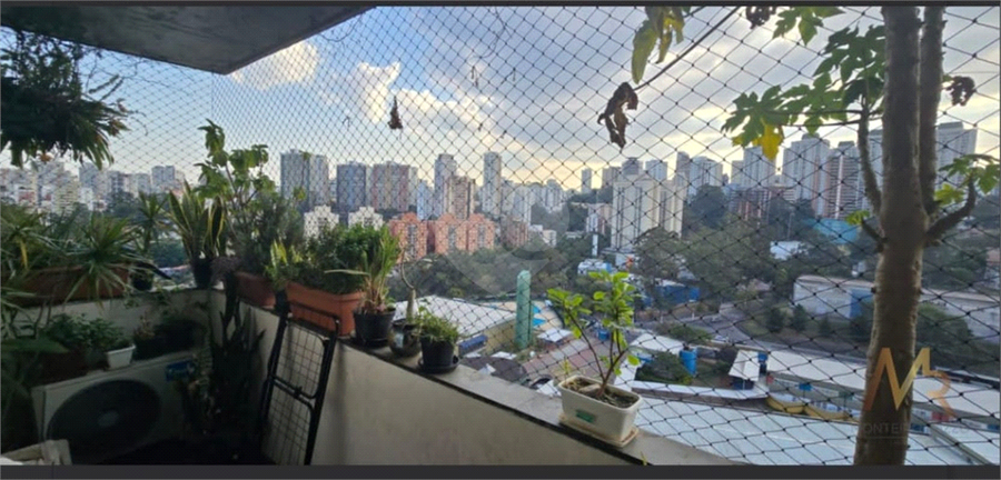 Foto REO1126933
