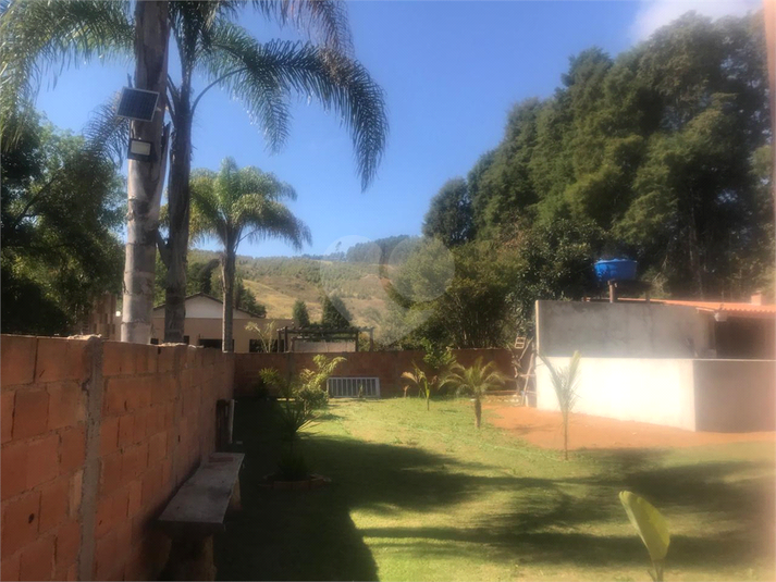 Foto REO1126940