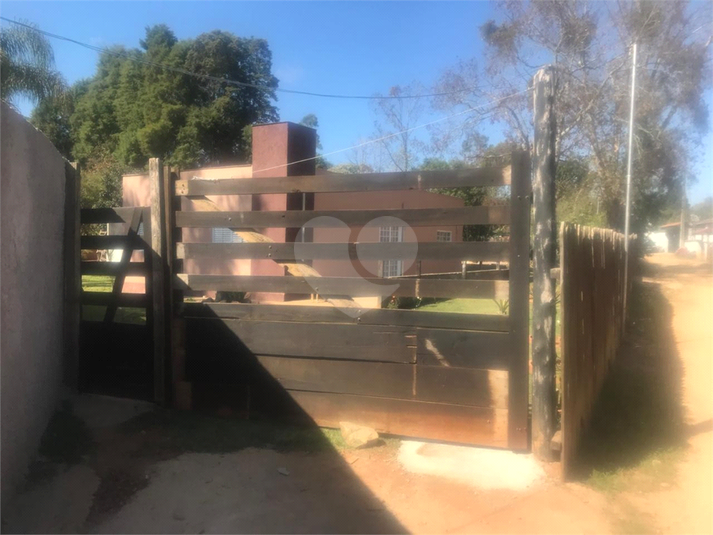 Foto REO1126940
