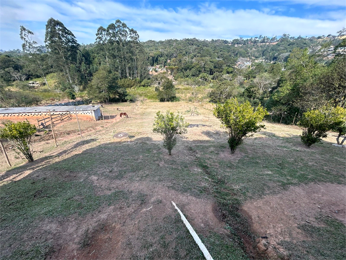 Foto REO1126941