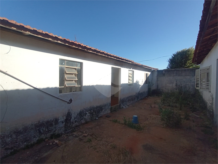 Foto REO1126944