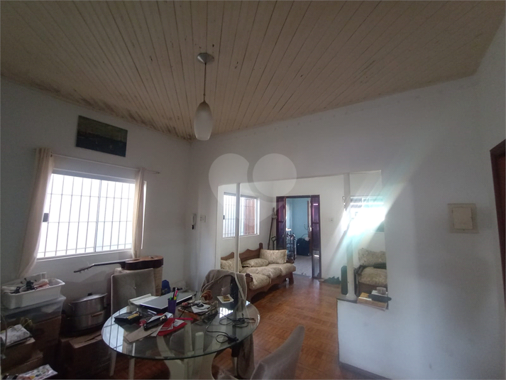 Foto REO1126944