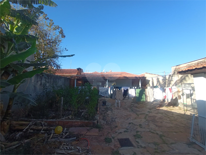 Foto REO1126944
