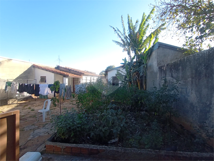 Foto REO1126944
