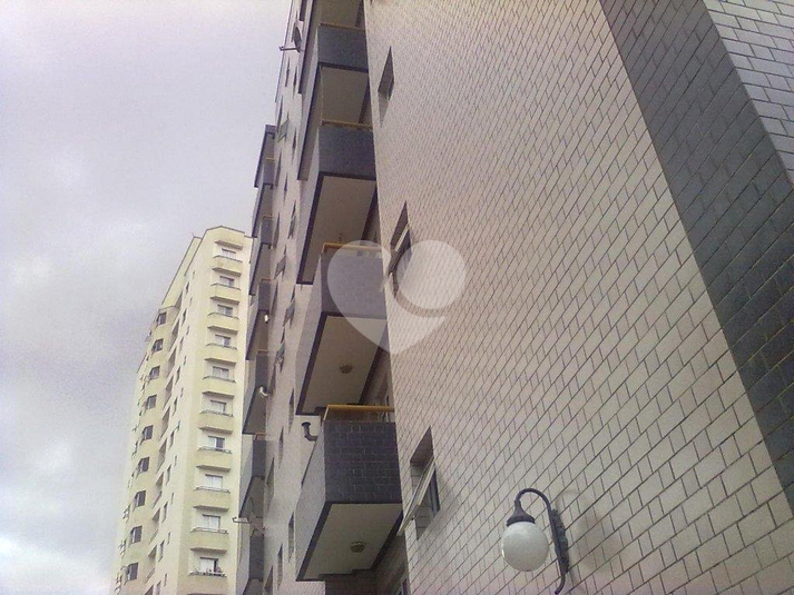 Foto REO1126948