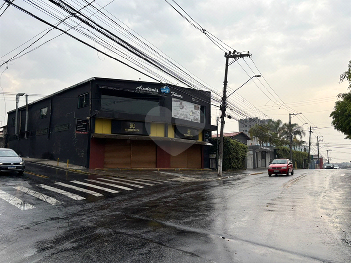 Foto REO1126952