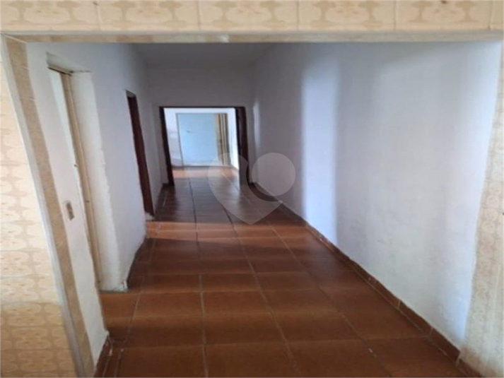 Foto REO1126960