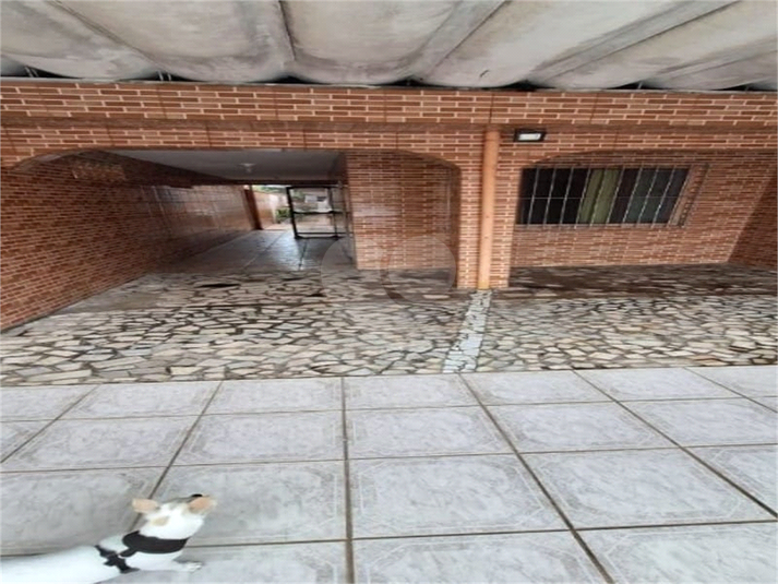 Foto REO1126960