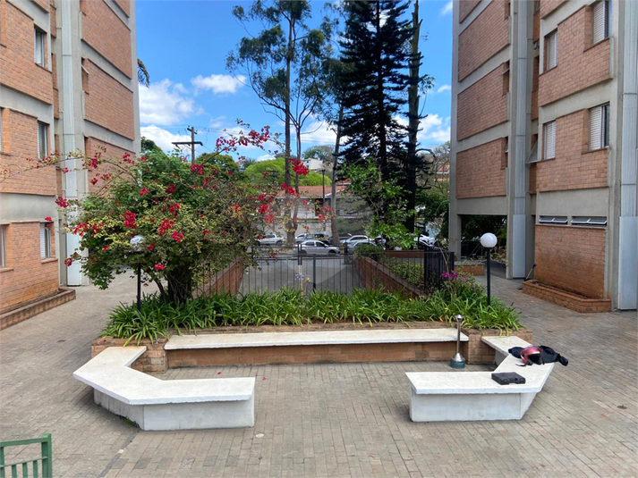 Foto REO1126971