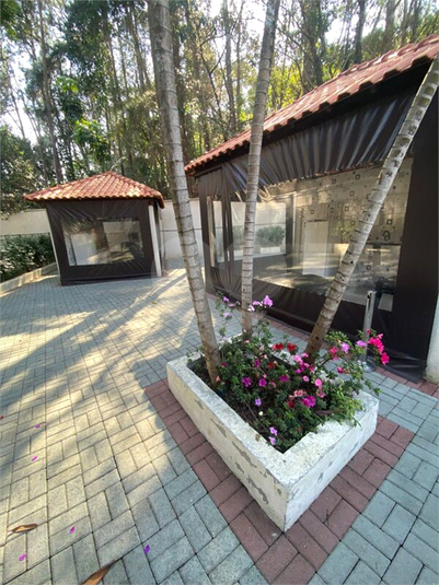 Foto REO1126975