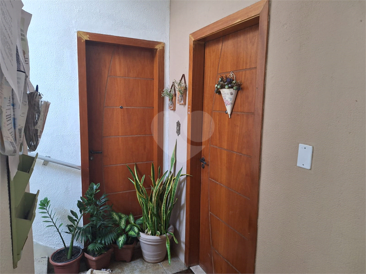 Foto REO1127056