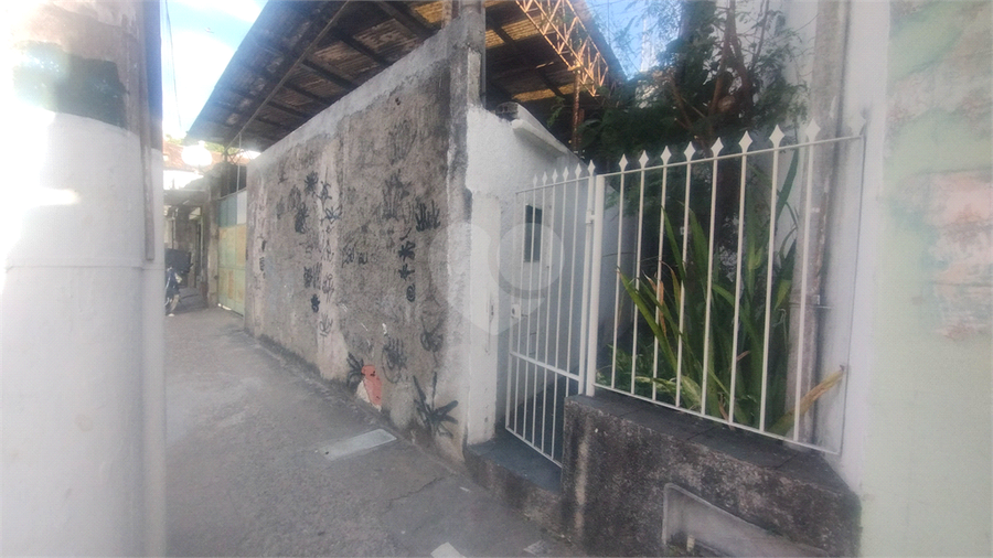 Foto REO1127078