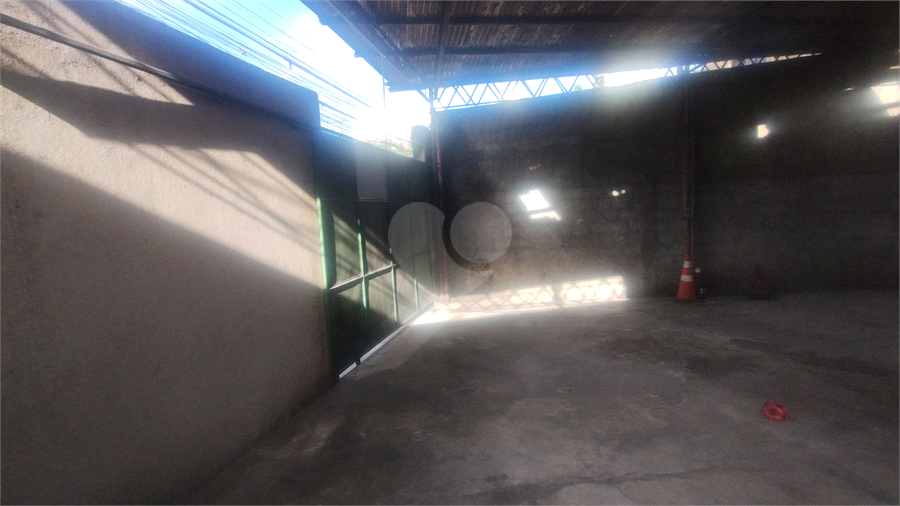 Foto REO1127078