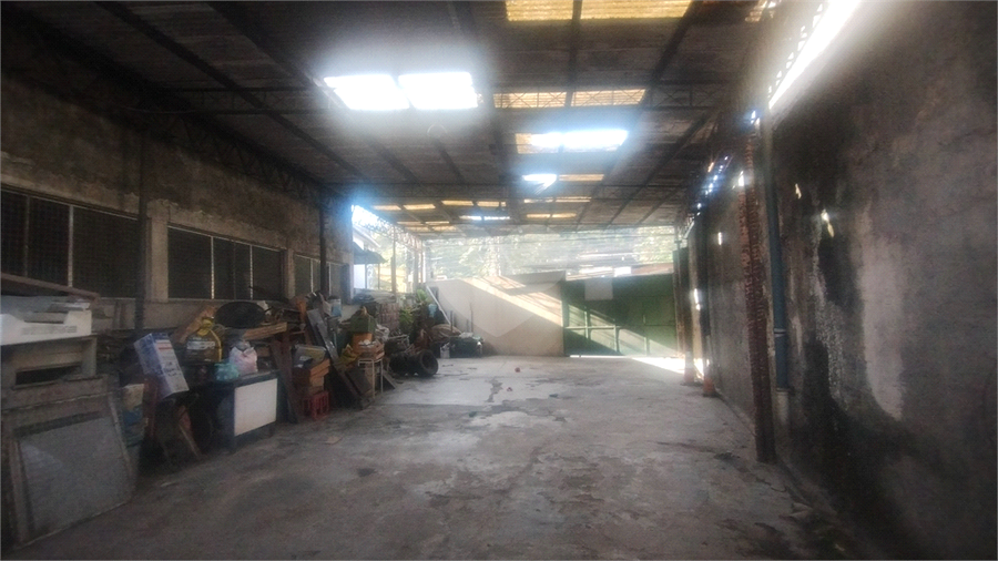 Foto REO1127078