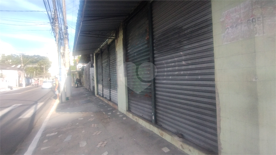 Foto REO1127078