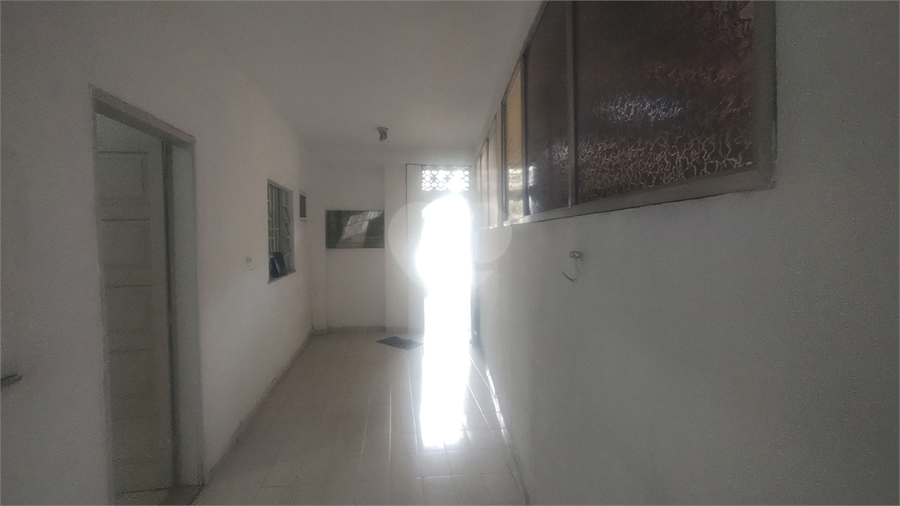Foto REO1127078