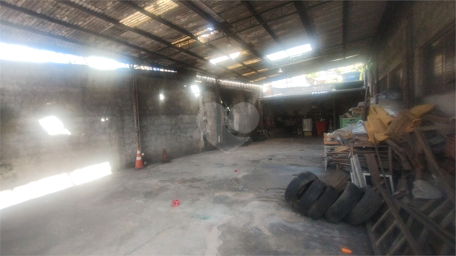 Foto REO1127078