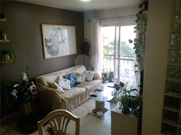 Foto REO1127098