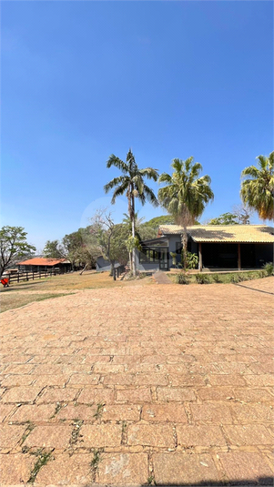 Foto REO1127104