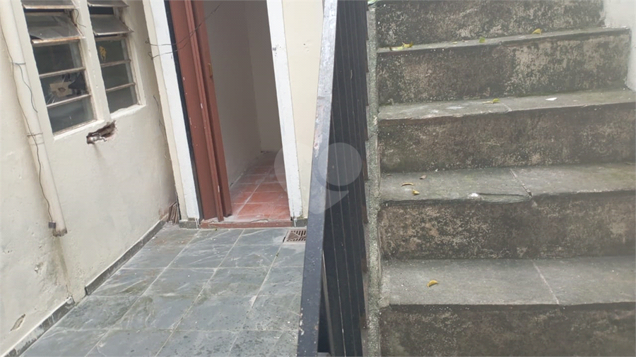 Foto REO1127126