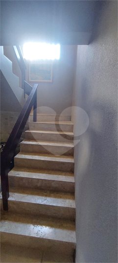 Foto REO1127169