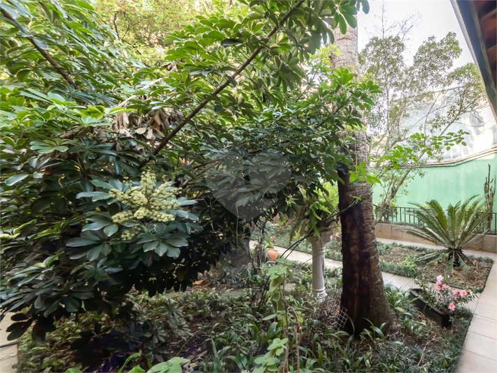 Foto REO1127174
