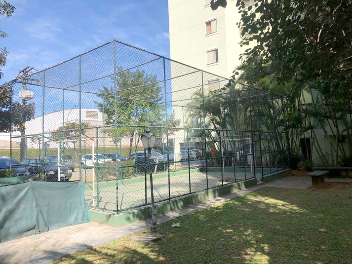 Foto REO1127179