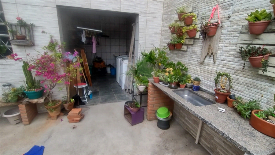 Foto REO1127184