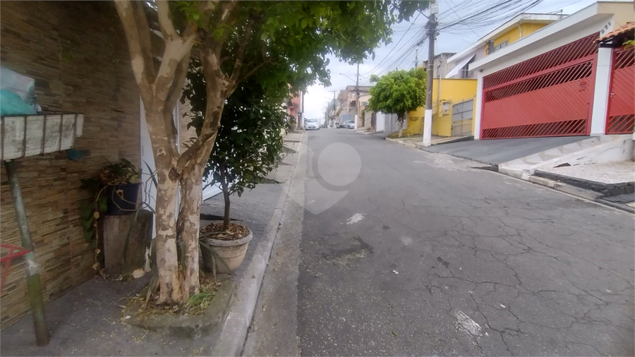 Foto REO1127184